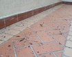 thumb-image-2024-02-29T14:05:43.241Z