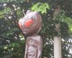 thumb-image-2024-02-29T14:05:44.228Z