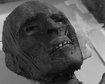 thumb-image-2024-02-29T14:05:44.472Z