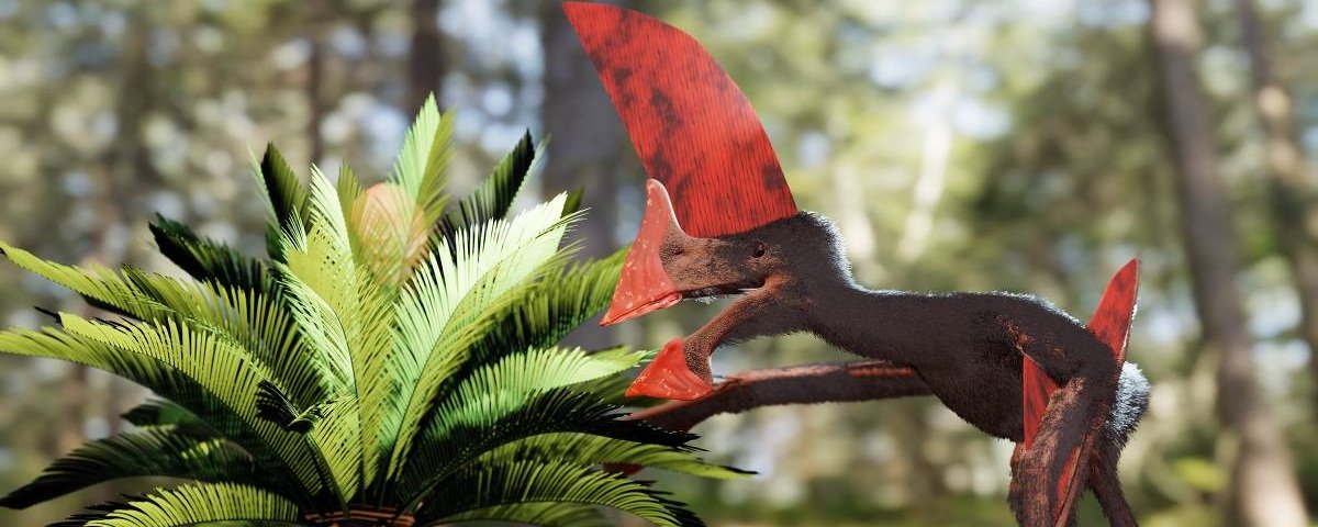 Representação artística de como teria sido o pterossauro descoberto no nordeste