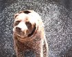 thumb-image-2024-02-29T14:05:45.023Z