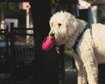 thumb-image-2024-02-29T14:05:45.198Z