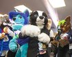 thumb-image-2024-02-29T14:05:44.952Z