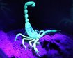 thumb-image-2024-02-29T14:05:45.463Z