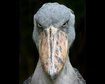 thumb-image-2024-02-29T14:05:45.763Z