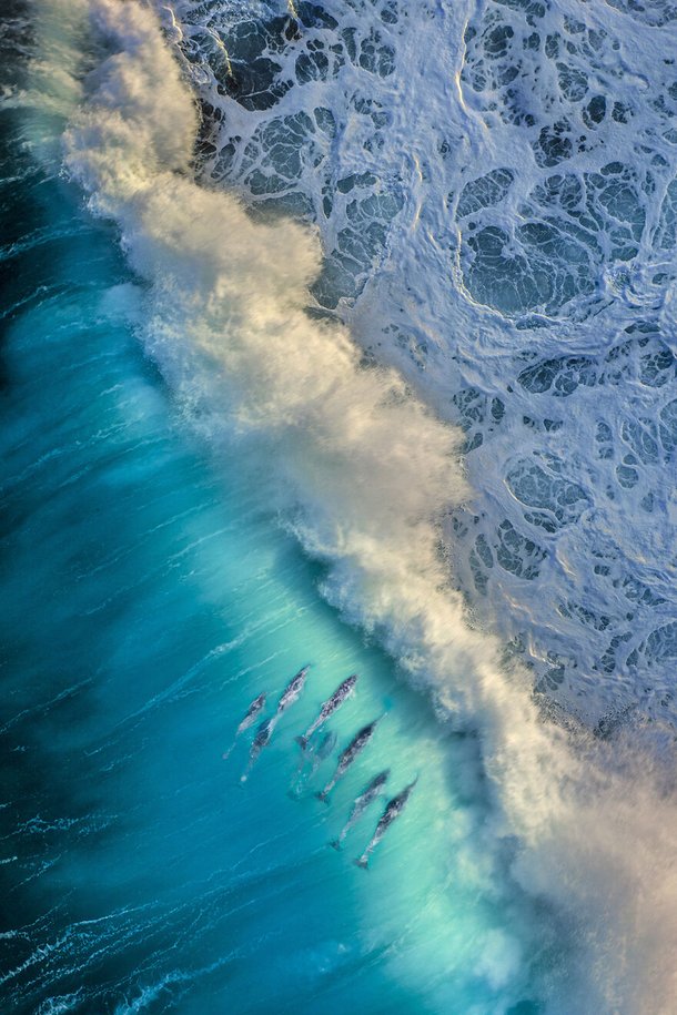 (Fonte: Michael Haluwana - Ocean Photography Awards / Reprodução)