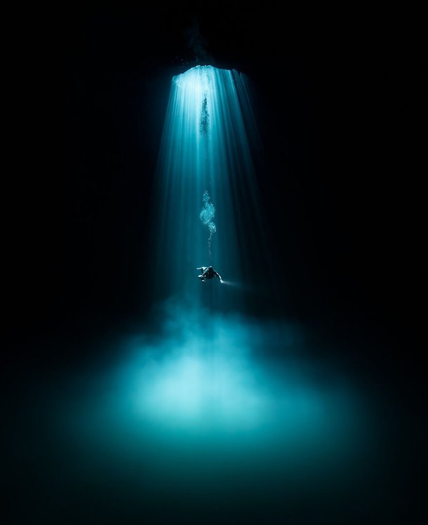 (Fonte: Martin Broen - Ocean Photography Awards / Reprodução)