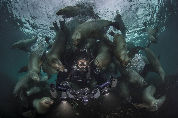 (Fonte: Steve Woods - Ocean Photography Awards / Reprodução)