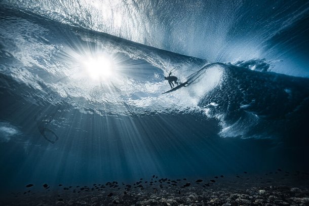 (Fonte: Ben Thouard - Ocean Photography Awards / Reprodução)