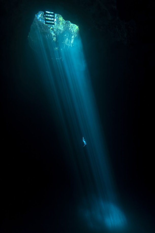 (Fonte: Fabrice Guerin - Ocean Photography Awards / Reprodução)