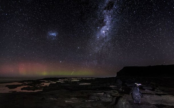 (Fonte: Kimball Chen - Ocean Photography Awards / Reprodução)