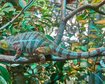 thumb-image-2024-02-29T14:05:45.853Z