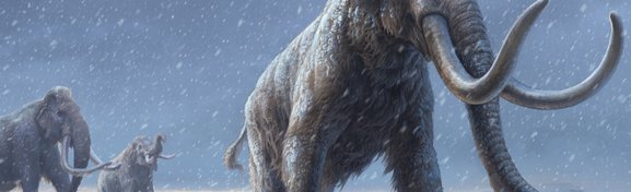 Imagem de Genética pode trazer mamutes de volta à vida em 6 anos no megacurioso