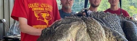 Imagem de Artefatos milenares são encontrados em estômago de crocodilo no megacurioso
