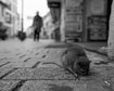 thumb-image-2024-02-29T14:05:46.094Z