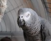 thumb-image-2024-02-29T14:05:46.110Z