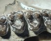 thumb-image-2024-02-29T14:05:46.287Z