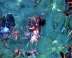 thumb-image-2024-02-29T14:05:46.047Z