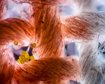 thumb-image-2024-02-29T14:05:46.345Z