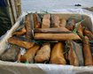 thumb-image-2024-02-29T14:05:46.676Z