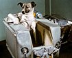 thumb-image-2024-02-29T14:05:46.996Z