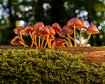 thumb-image-2024-02-29T14:05:47.008Z