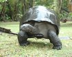 thumb-image-2024-02-29T14:05:47.052Z
