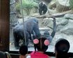 thumb-image-2024-02-29T14:05:47.399Z