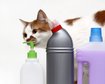 thumb-image-2024-02-29T14:05:48.219Z