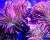 thumb-image-2024-02-29T14:05:49.173Z