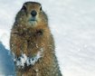 thumb-image-2024-02-29T14:05:49.308Z