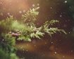 thumb-image-2024-02-29T14:05:49.317Z