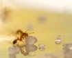thumb-image-2024-02-29T14:05:49.723Z