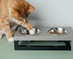 thumb-image-2024-02-29T14:05:51.604Z
