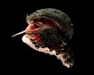 thumb-image-2024-02-29T14:05:52.141Z