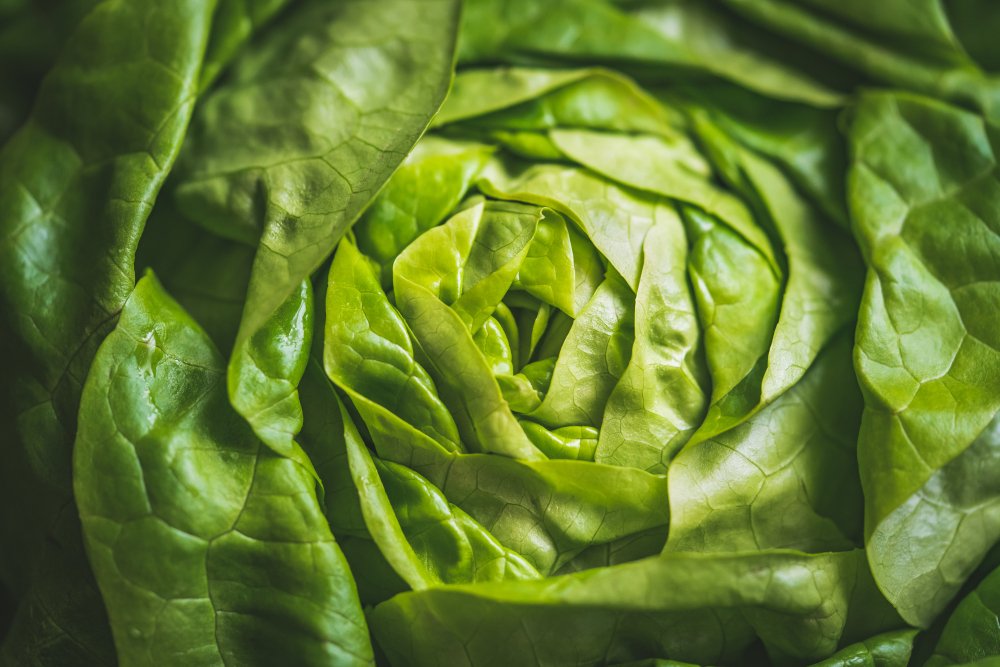 Com a ajuda do papel toalha, dá pra manter seus vegetais fresquinhos por mais alguns dias na geladeira (Imagem: Shutterstock)