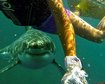 thumb-image-2024-02-29T14:05:52.440Z