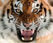 thumb-image-2024-02-29T14:05:52.561Z