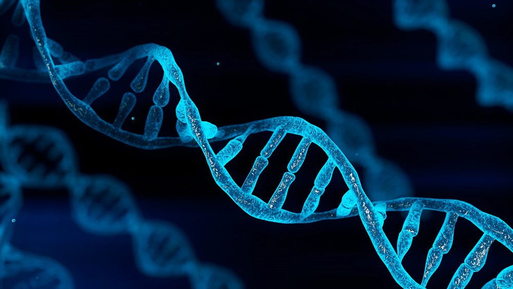A seleção natural é validada por outra ciência: a genética. (Fonte: Shutterstock)