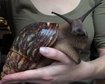 thumb-image-2024-02-29T14:05:54.126Z