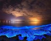thumb-image-2024-02-29T14:05:55.304Z