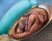 thumb-image-2024-02-29T14:05:56.152Z