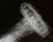 thumb-image-2024-02-29T14:05:57.019Z