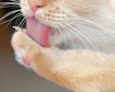 thumb-image-2024-02-29T14:05:57.340Z