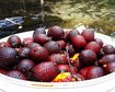 thumb-image-2024-02-29T14:05:58.145Z