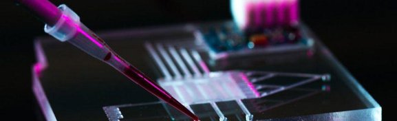 Imagem de Nanotecnologia: como ela está presente no dia a dia? no megacurioso