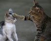 thumb-image-2024-02-29T14:05:58.790Z