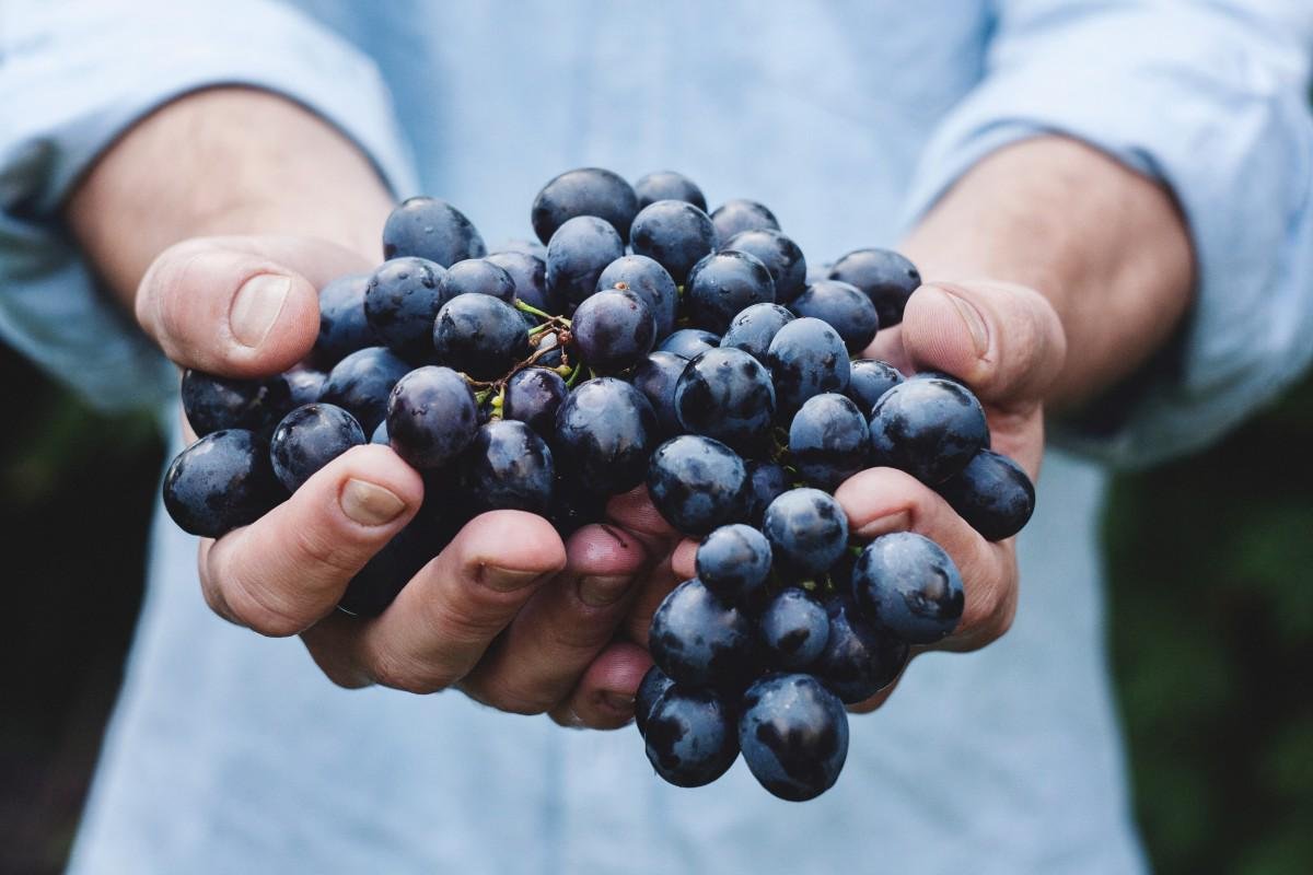 Uvas também são ricas em flavonoides. (Imagem: Pxhere)
