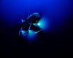 thumb-image-2024-02-29T14:05:59.145Z