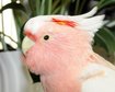 thumb-image-2024-02-29T14:05:59.199Z